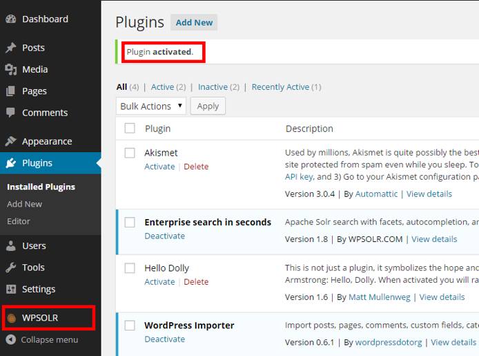 After WPSolr activation